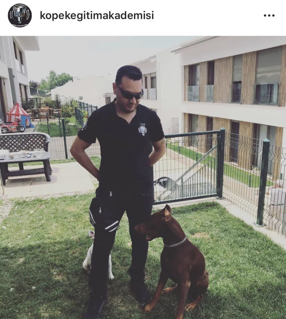 S.I.R K9 Köpek Eğitim Akademisi: Şeffaf Eğitimde Yeni Bir Dönem