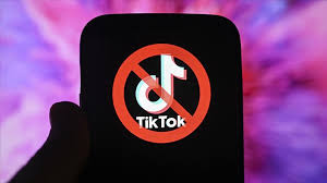 TikTok Bir Yıl Süreyle Erişime Kapatılıyor