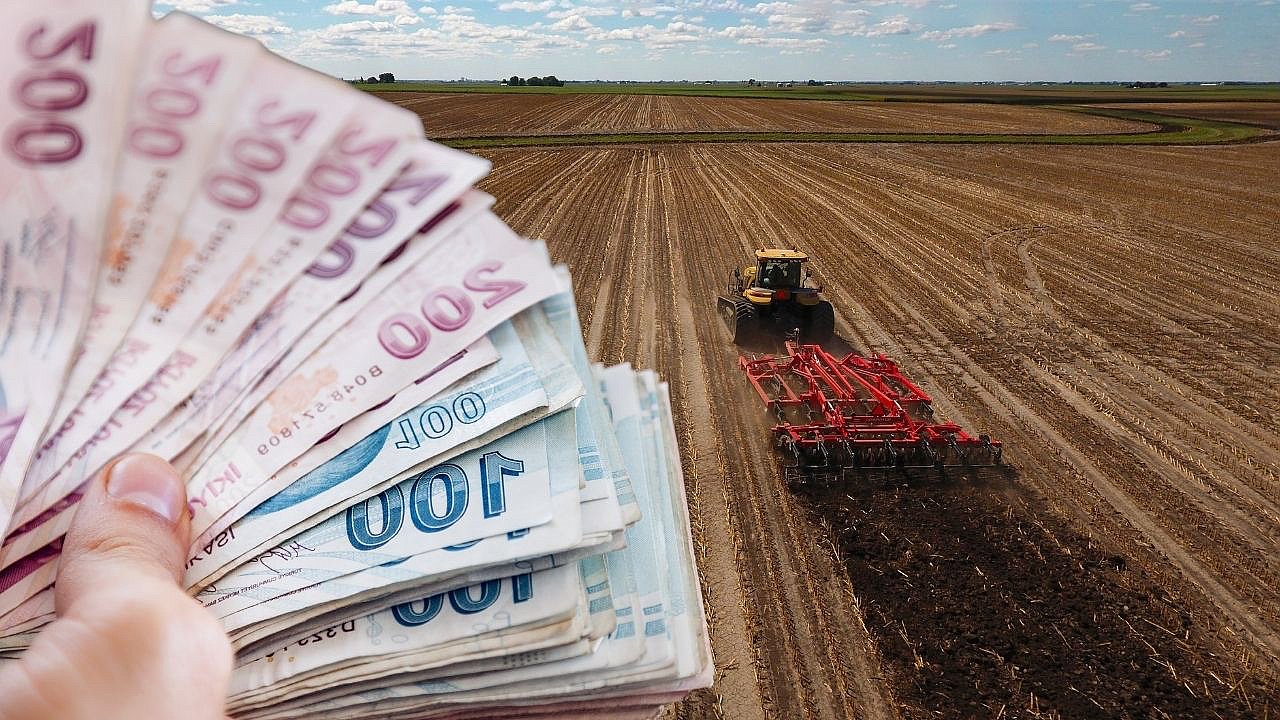 Tarım Maliyetleri Tırmanıyor: Veteriner Harcamaları Çiftçiyi Zorluyor