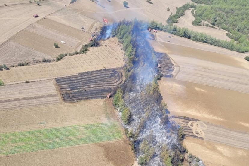 Adana’da çıkan orman yangını kontrol altına alındı