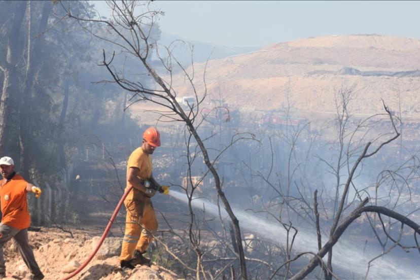 Antalya’daki orman yangınlarının yarısı kontrolsüz piknik kaynaklı
