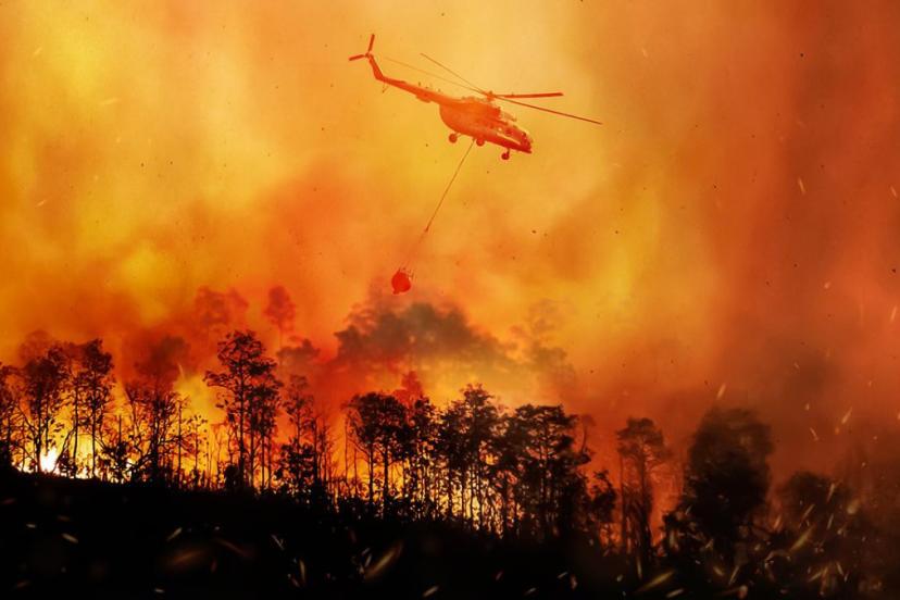 Balıkesir’de Yangın Felaketi: 15 Ev Kullanılamaz Hale Geldi