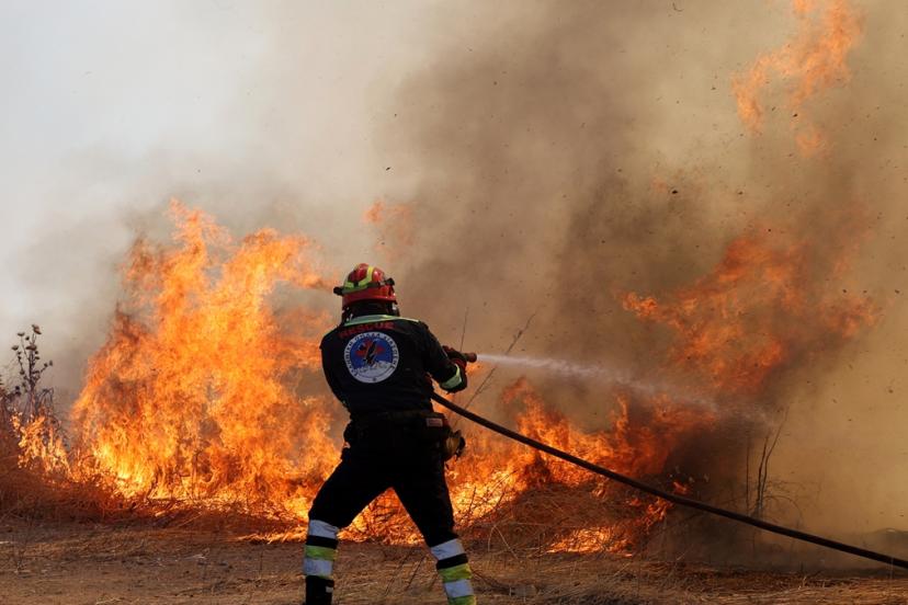 Batı Trakya alarmda! Gümülcine yakınında yangın