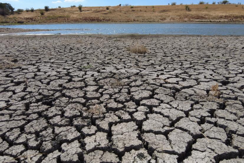 Edirne’de kuraklık nedeniyle kuruyan gölde çatlaklar