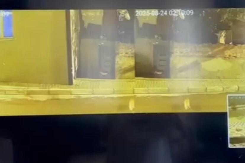 İstanbul’da alacak verecek kavgasında silahlar konuştu: Kurşunlar kediye isabet etti