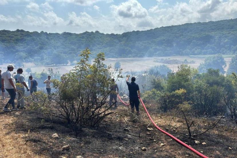 Kırklareli’de çıkan orman yangını söndürüldü