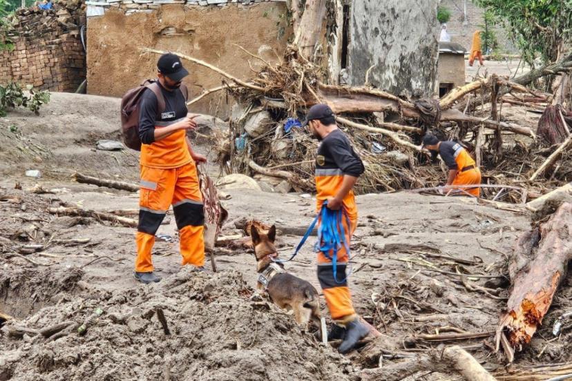 Pakistan’daki sel felaketinde can kaybı 785’e yükseldi