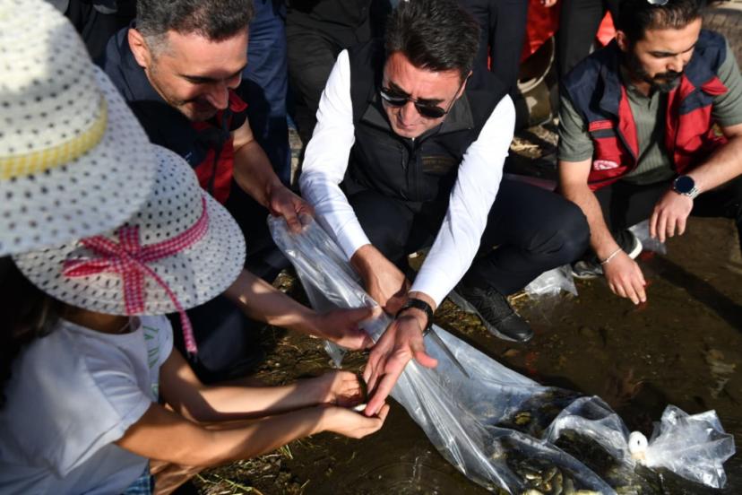 Tunceli’de 850 bin adet balık suyla buluştu