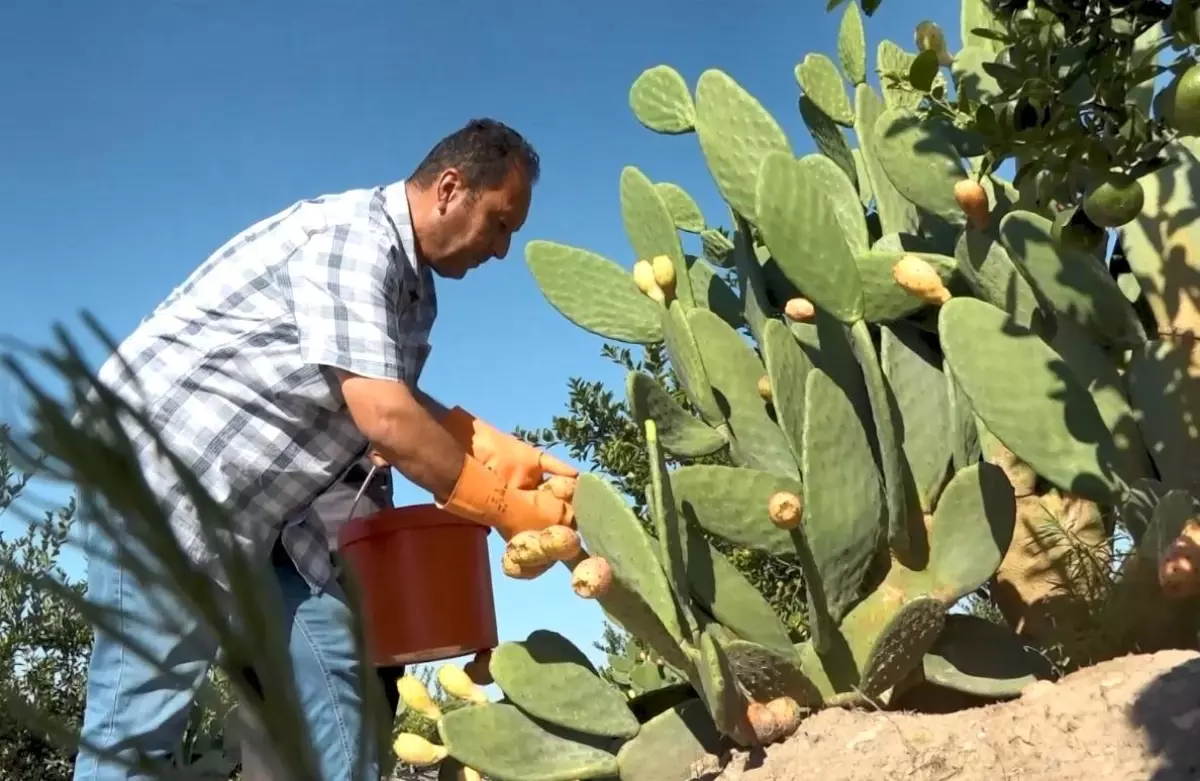 Sivas’ta Kardeş Cinayetinde Karar: Sanığa 2 Kez Ağırlaştırılmış Müebbet