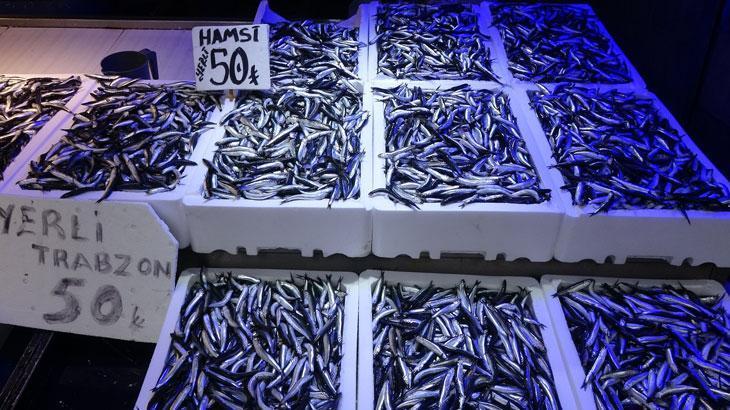 Trabzon’da Hamsi Bolluğu: Kilo 50 TL’ye Düştü