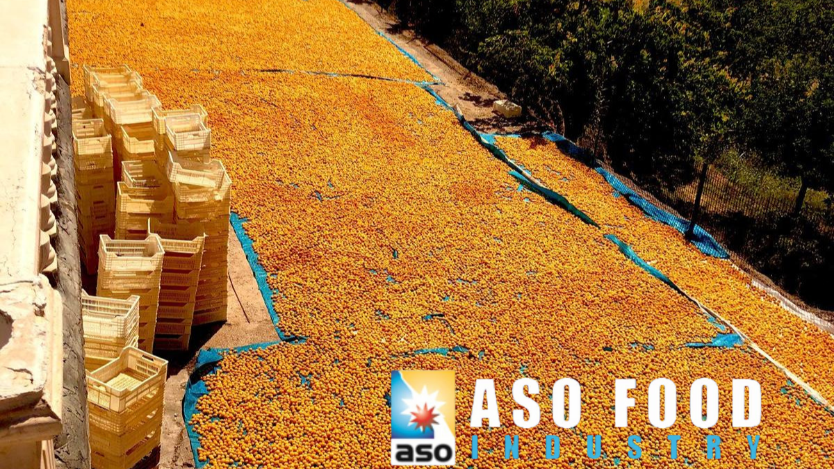 EBSO Listesinde Dikkat Çeken Yükseliş: ASO Gıda Sanayi’den Bölge İkinciliği