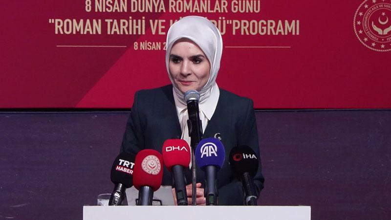 Roman Vatandaşlar İçin Strateji ve Eylem Planı Devam Ediyor