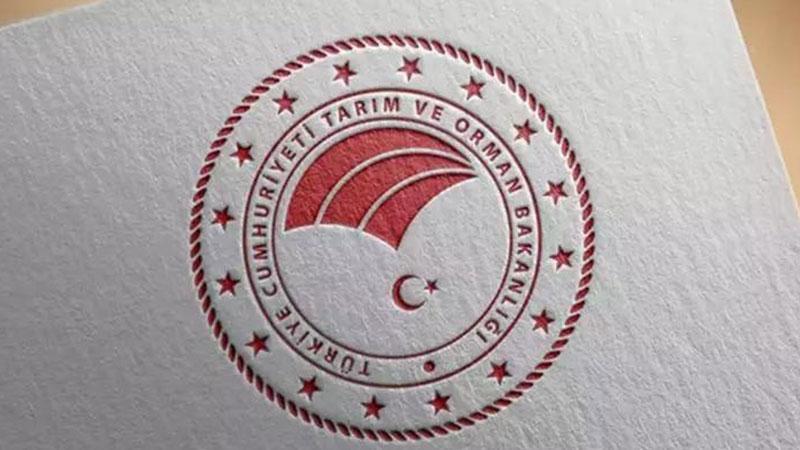 Tarsus’ta Marul Videoları Gerçeği Yansıtmıyor