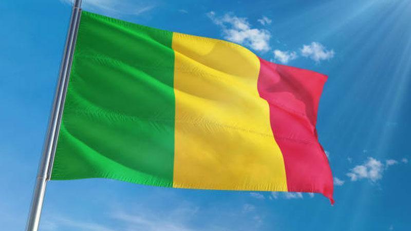 MALİ’DE KANLI SALDIRI: SAVUNMA BAKANI HAYATINI KAYBETTİ