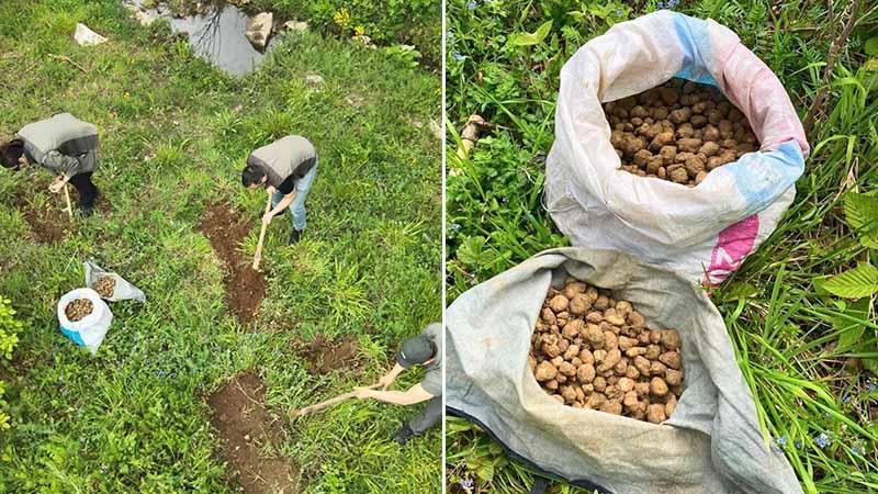 DOĞAYI TALAN EDEN KAÇAKÇIYA REKOR CEZA YAĞDI