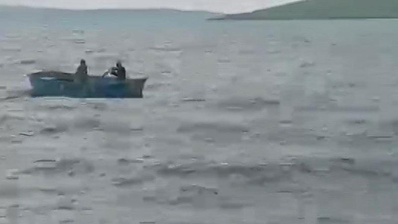 Çıldır Gölü’nde Nefes Kesen Kurtarma: Buzağı Son Anda Hayata Tutundu