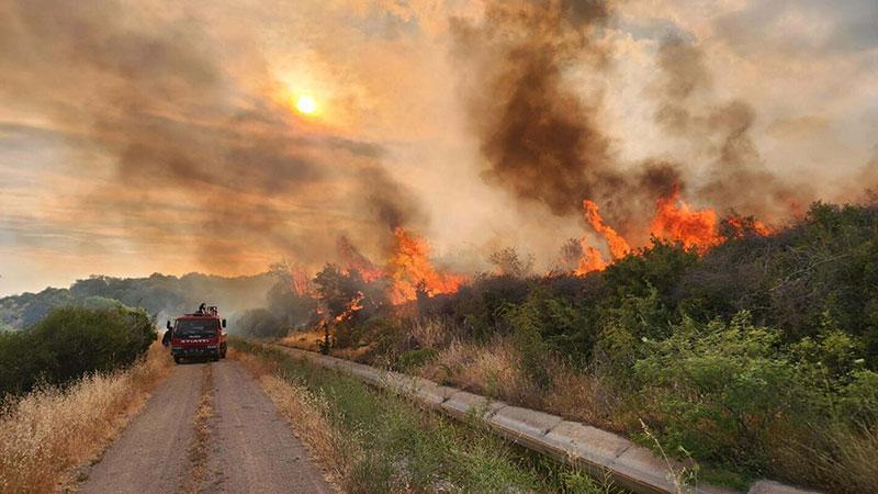 Çanakkale’de Kuvvetli Rüzgar Alarmı: Hasat Faaliyetlerine Saat Kısıtlaması Getirildi