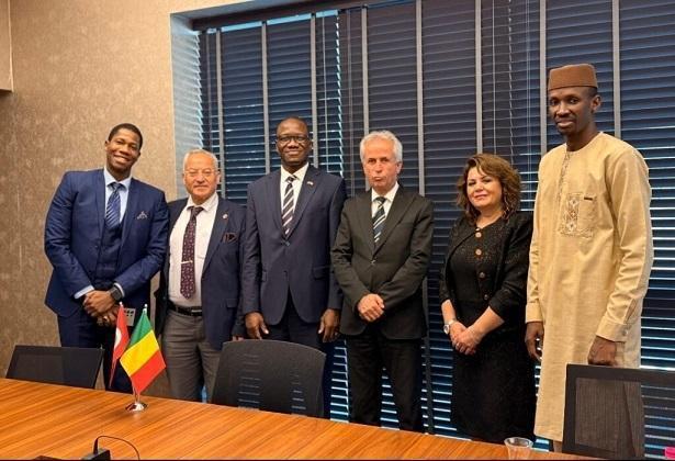 Türkiye–Mali Ekonomik Köprü: Yatırım ve Ticaret Gündemi Masada