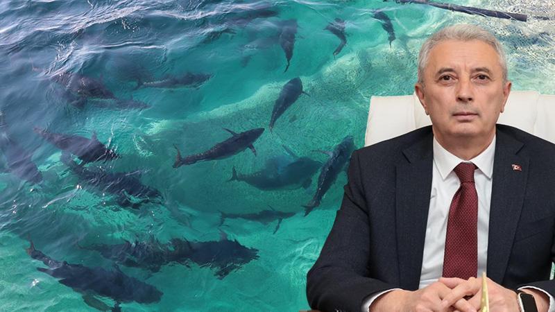 Dünya Arenasında Türkiye İmzası: Çipura ve Levrekte Dünya Birincisi