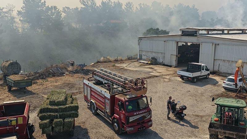 Balıkesir’de peş peşe yangınlar: Altıeylül’de alevlerle mücadele sürüyor, Karesi’de kontrol sağlandı