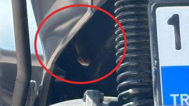 İnegöl’de motosikletin içine giren yılan itfaiyeyi harekete geçirdi