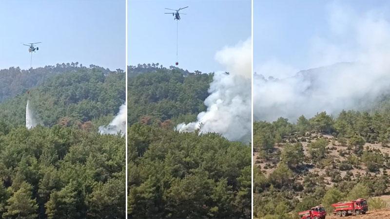 Kozan’da orman yangını paniği: Alevler büyümeden söndürüldü