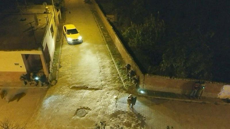 Aydın’da 3 aylık takibin ardından operasyon: 63 adrese baskın, 111 gözaltı