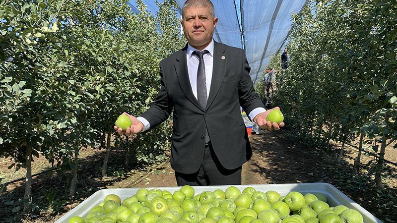 Isparta’da elma hasadı başladı: 1 milyon 250 bin ton rekolte bekleniyor